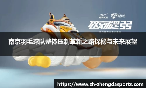 南京羽毛球队整体压制革新之路探秘与未来展望